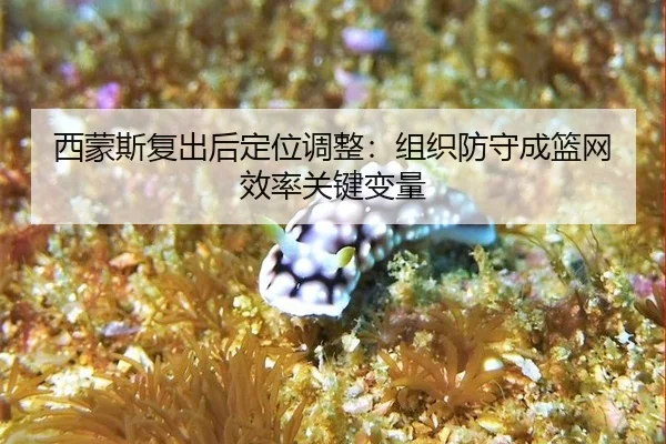 xi-meng-si-fu-chu-hou-ding-wei-tiao-zheng-zu-zhi-fang-shou-cheng-lan-wang-xiao-lv-guan-jian-bian-liang-1-993.jpg